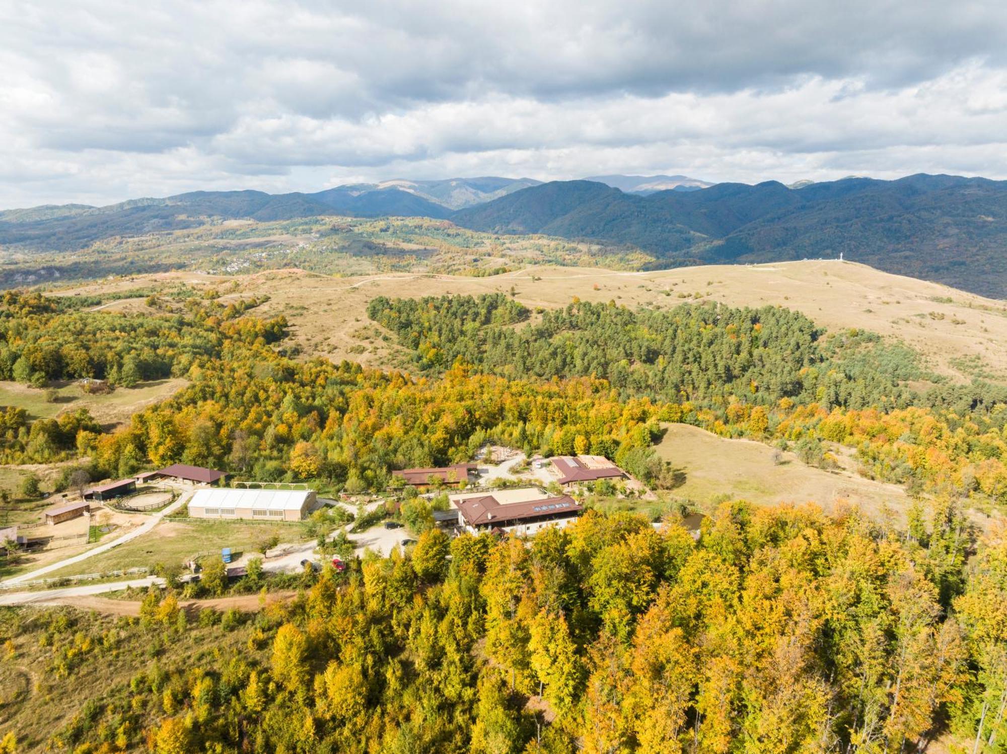 Potcoava Mountain Hideaway Hotel Runcu  Buitenkant foto