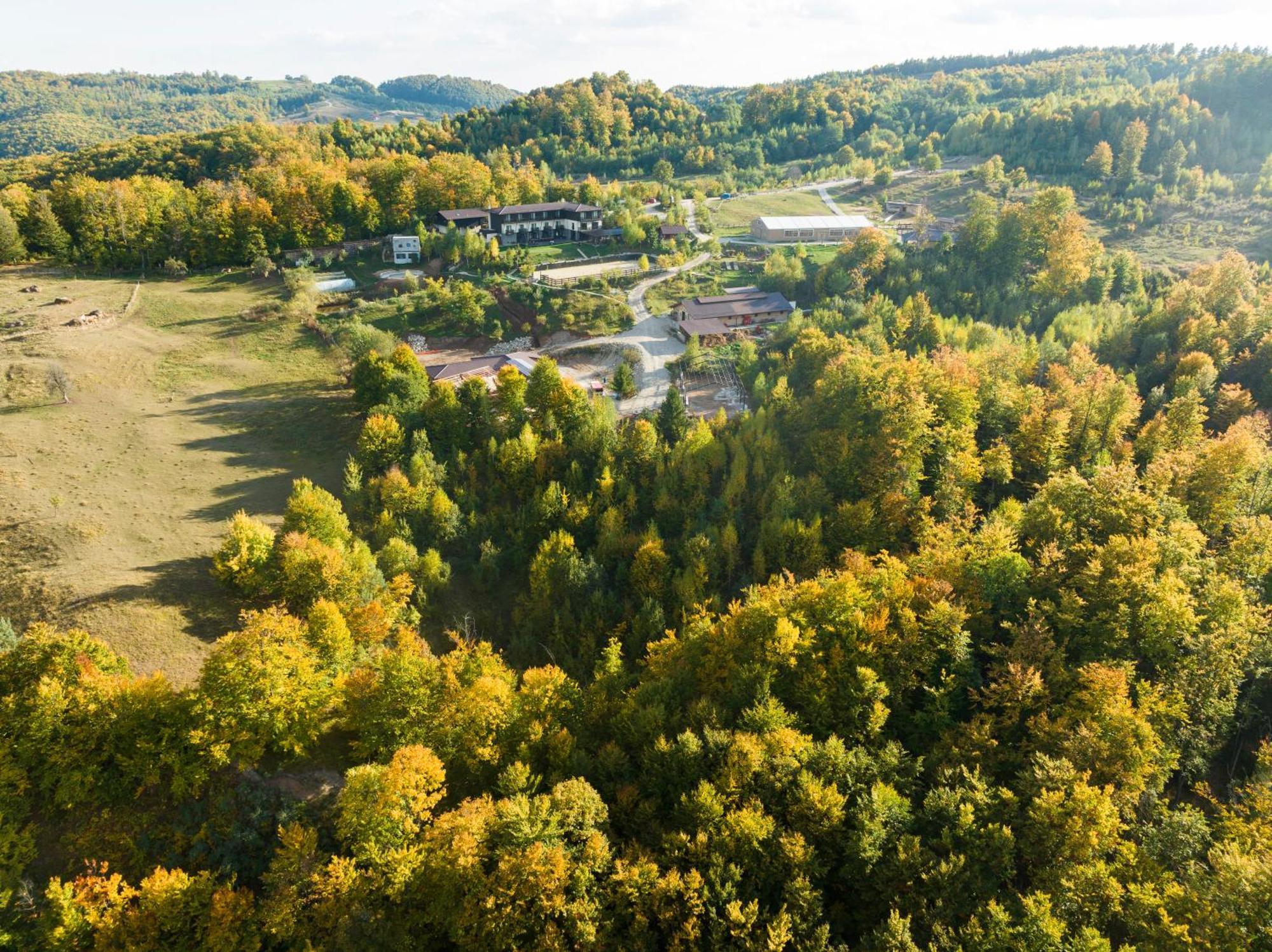 Potcoava Mountain Hideaway Hotel Runcu  Buitenkant foto