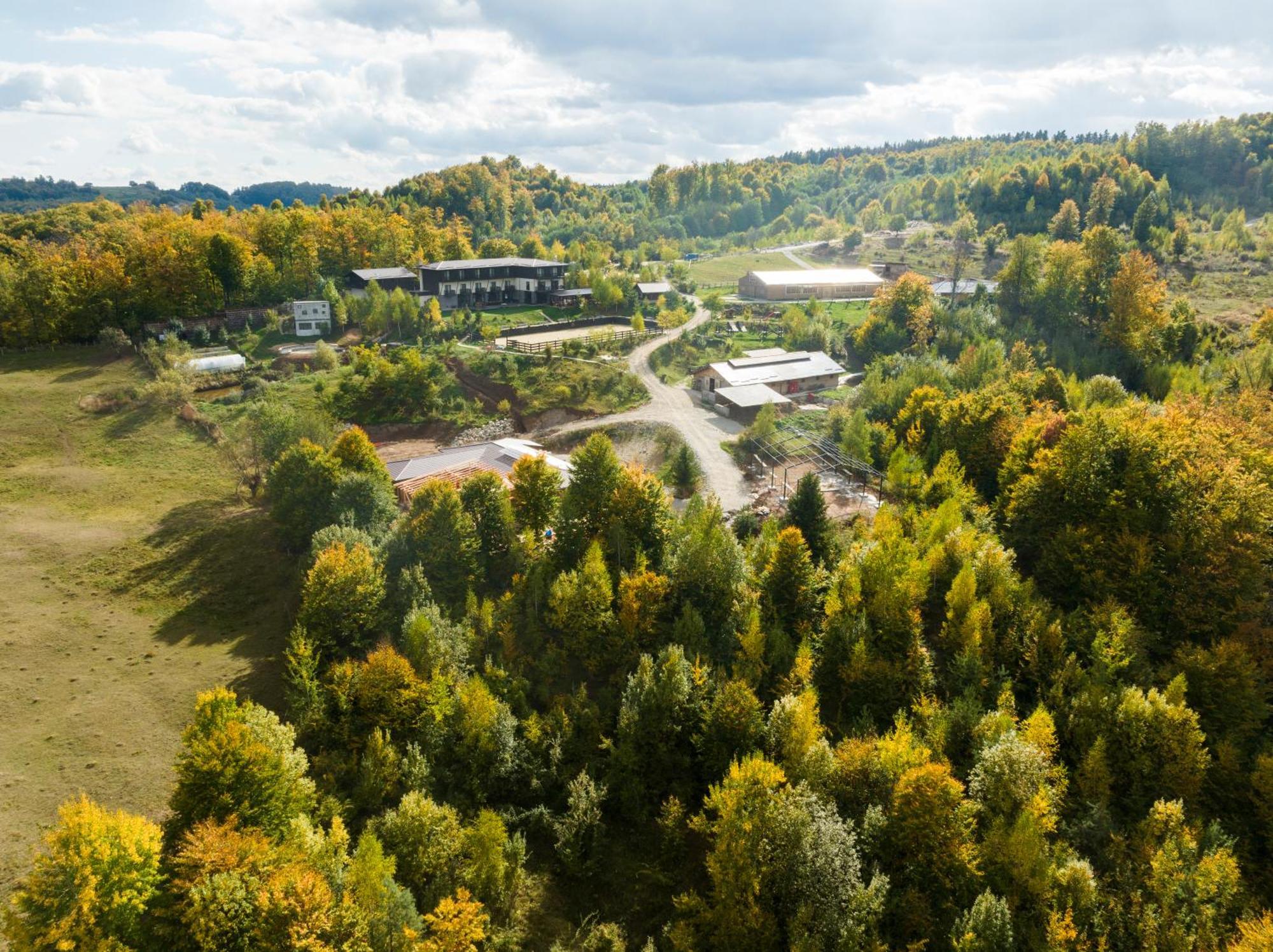 Potcoava Mountain Hideaway Hotel Runcu  Buitenkant foto