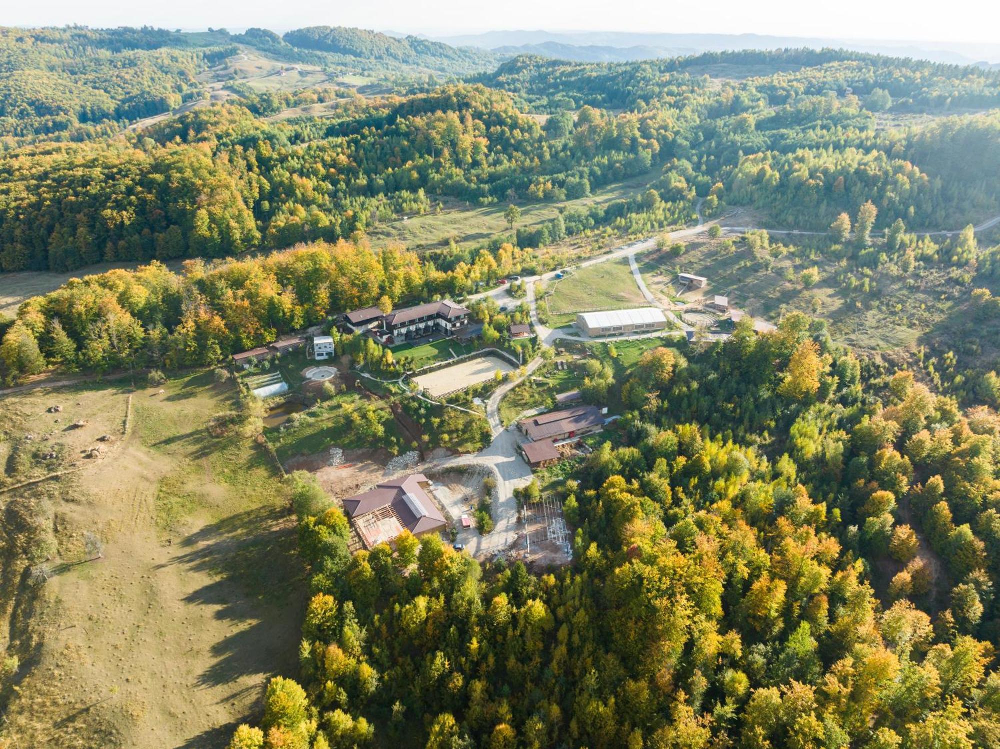 Potcoava Mountain Hideaway Hotel Runcu  Buitenkant foto