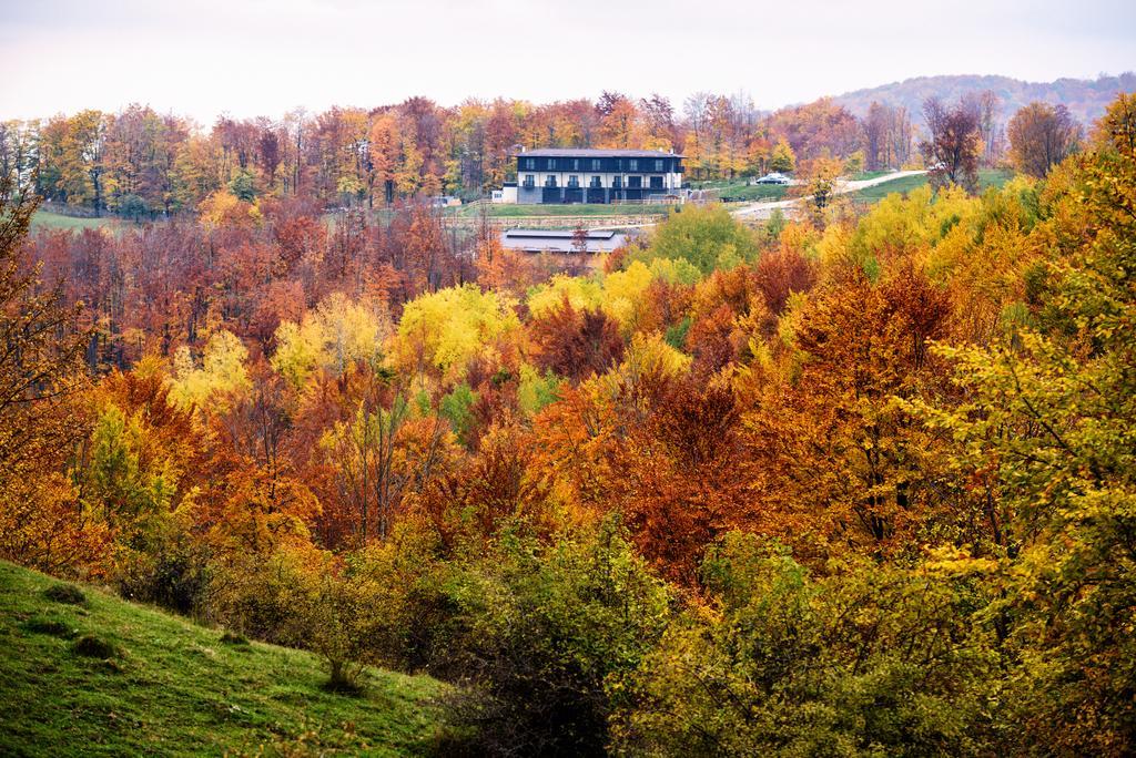 Potcoava Mountain Hideaway Hotel Runcu  Buitenkant foto