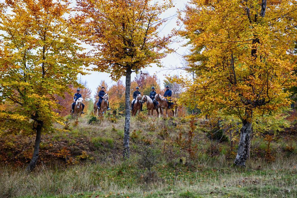 Potcoava Mountain Hideaway Hotel Runcu  Buitenkant foto