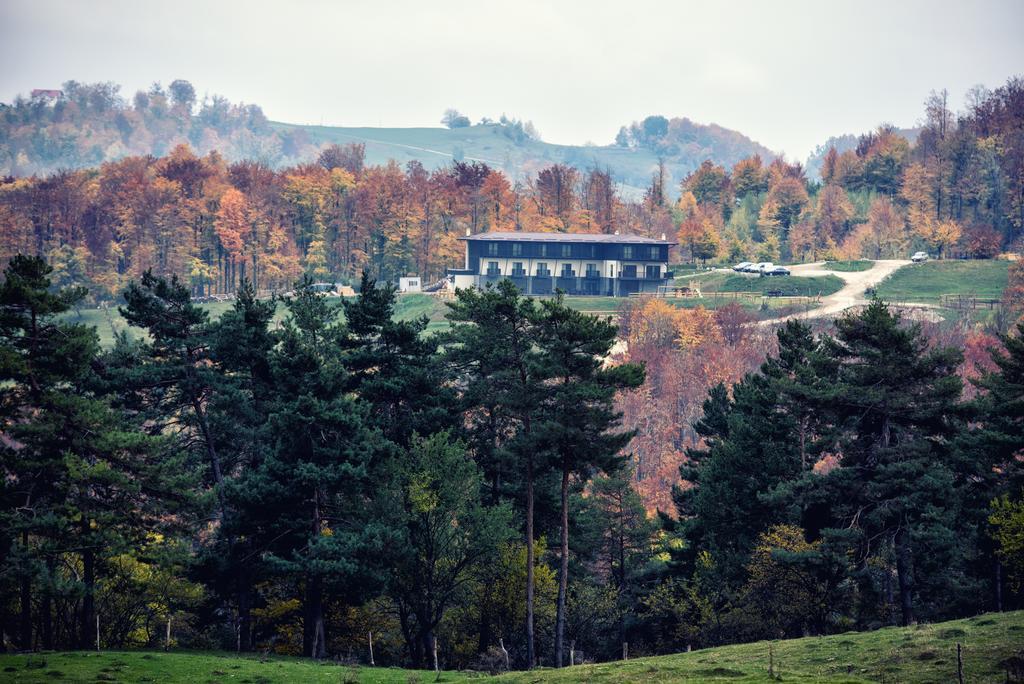 Potcoava Mountain Hideaway Hotel Runcu  Buitenkant foto