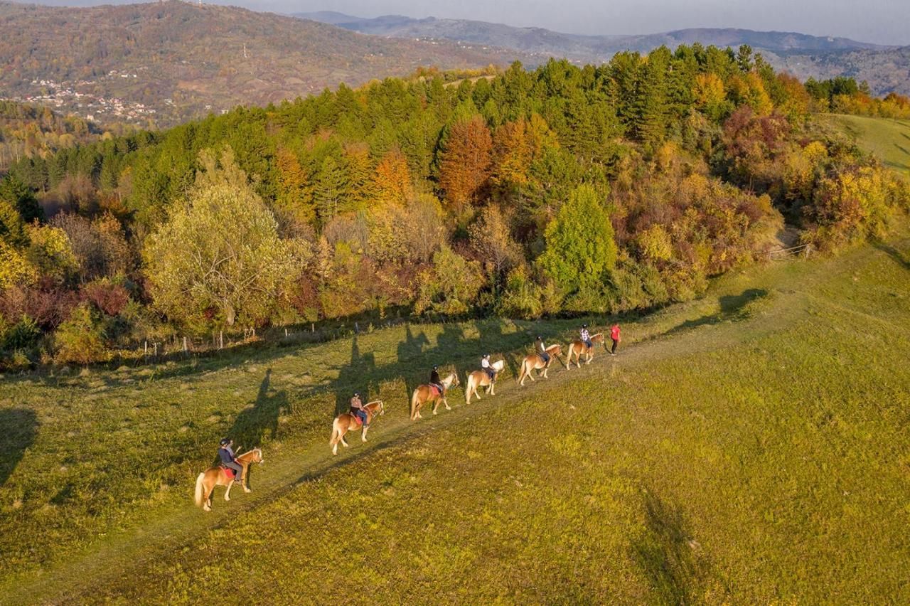 Potcoava Mountain Hideaway Hotel Runcu  Buitenkant foto